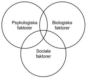 Biosocial modell