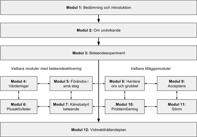 Primärvårdsanpassad KBT vid depression