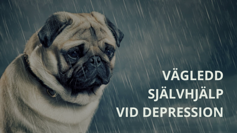 Vägledd självhjälp vid depression