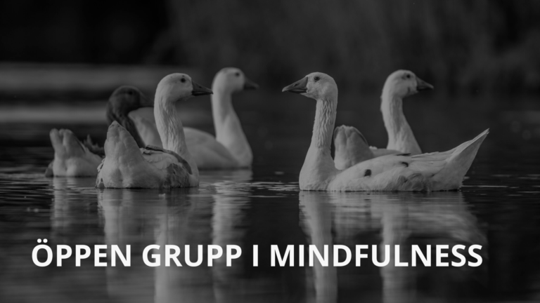 Öppen grupp i mindfulness