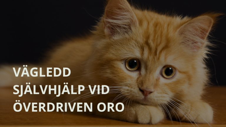Vägledd självhjälp vid oro