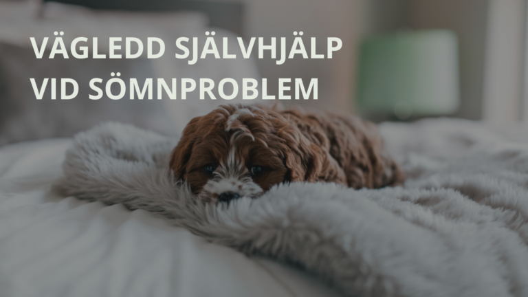 Vägledd självhjälp vid sömnproblem